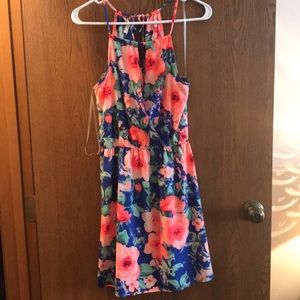 Pink Lily Boutique floral dress